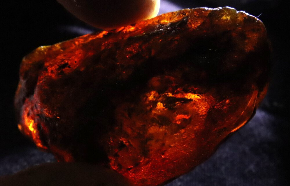 Beautiful Natural Dominican Translucent Green Blue Amber Rough Specimen 54mm 22g – photo 9