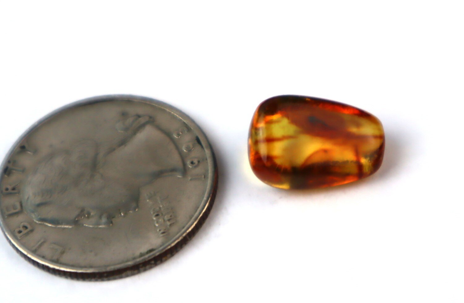 Natural Dominican Amber Insect Fossil – Polished Stone – photo 3