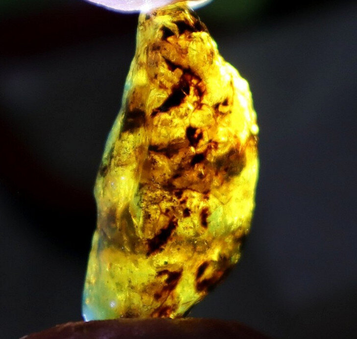 Authentic Beautiful Sky Blue Dominican Amber Rough Specimen Chunk 40mm 3.9g – photo 9