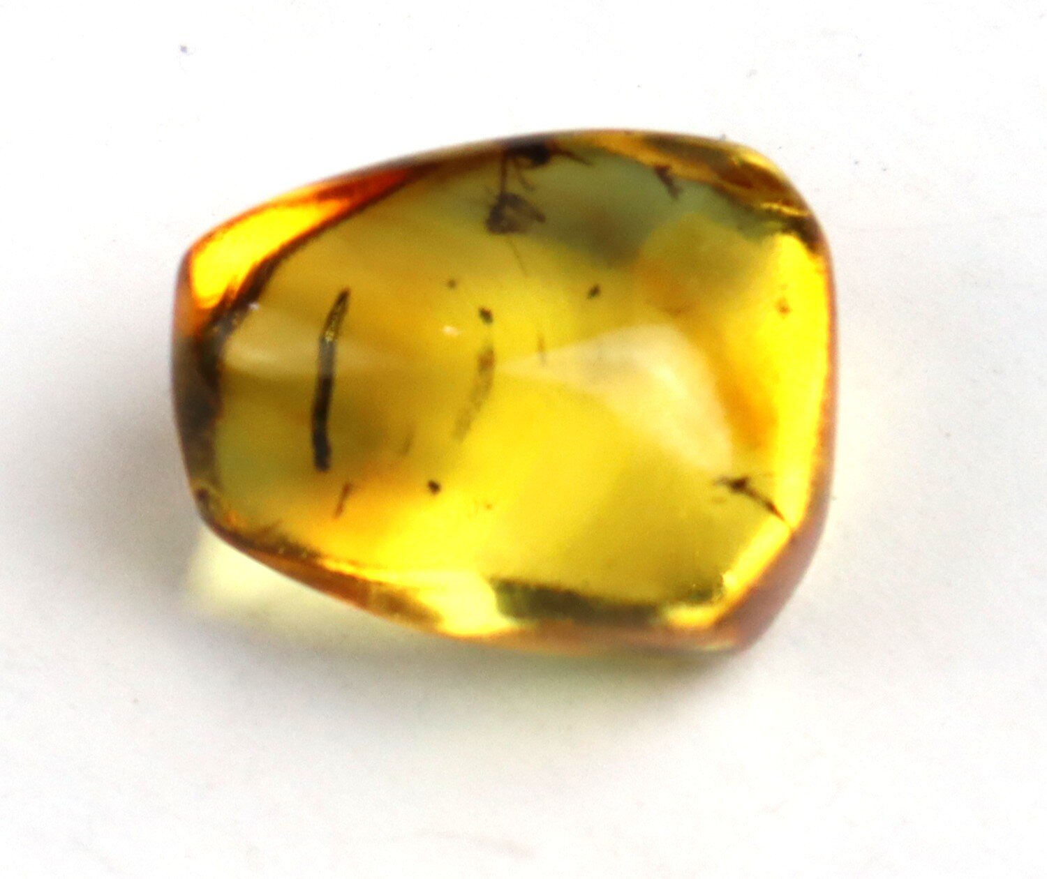 🪶 Natural Dominican Yellow Amber with Insect Inclusion – photo 4