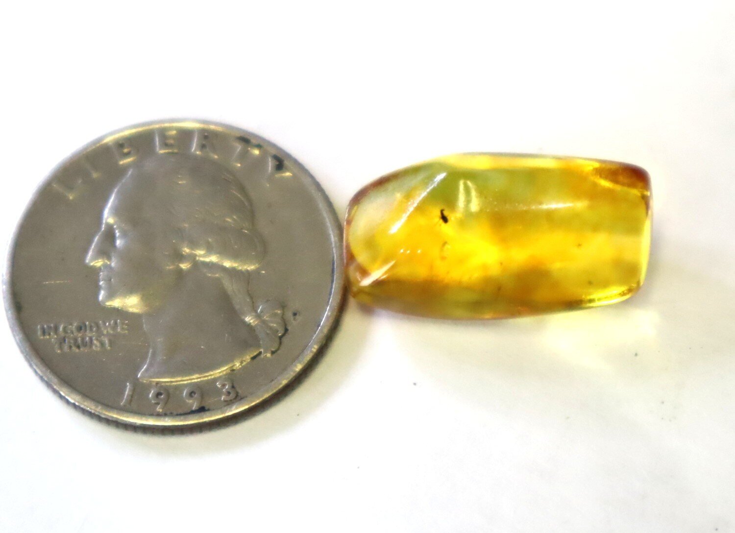 🪶 Rare Fossil Male Midge in Natural Dominican Yellow Amber 22mm – photo 6
