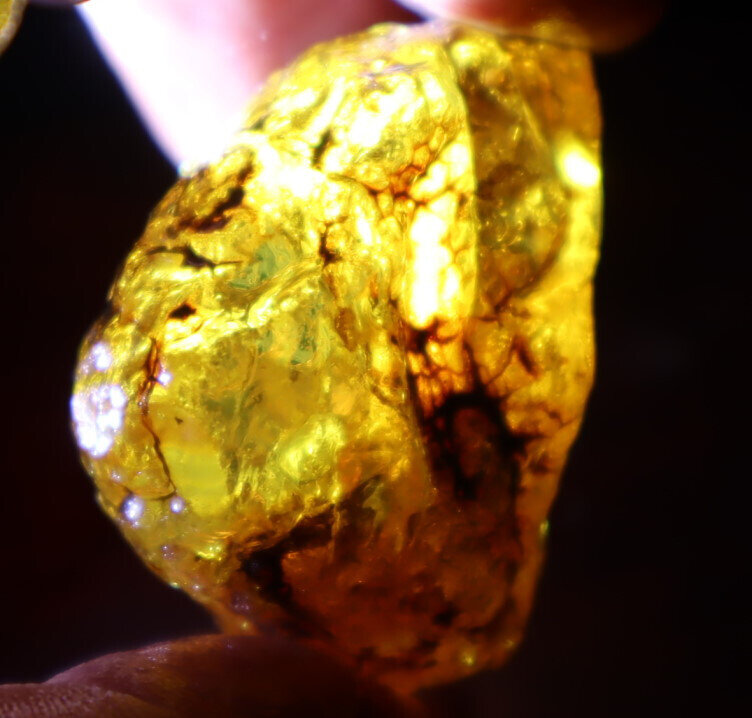 Natural Dominican Crystal Clear Light Blue Yellow Amber Rough Specimen 40mm 20.5 – photo 9