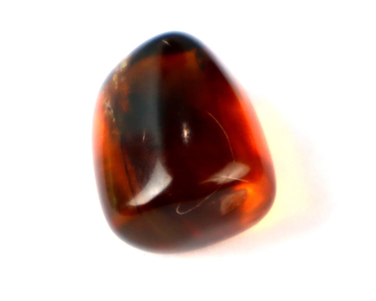 Natural Dominican Clear Amber – Polished Stone with Wasp Inclusion (Hymenoptera) – photo 5