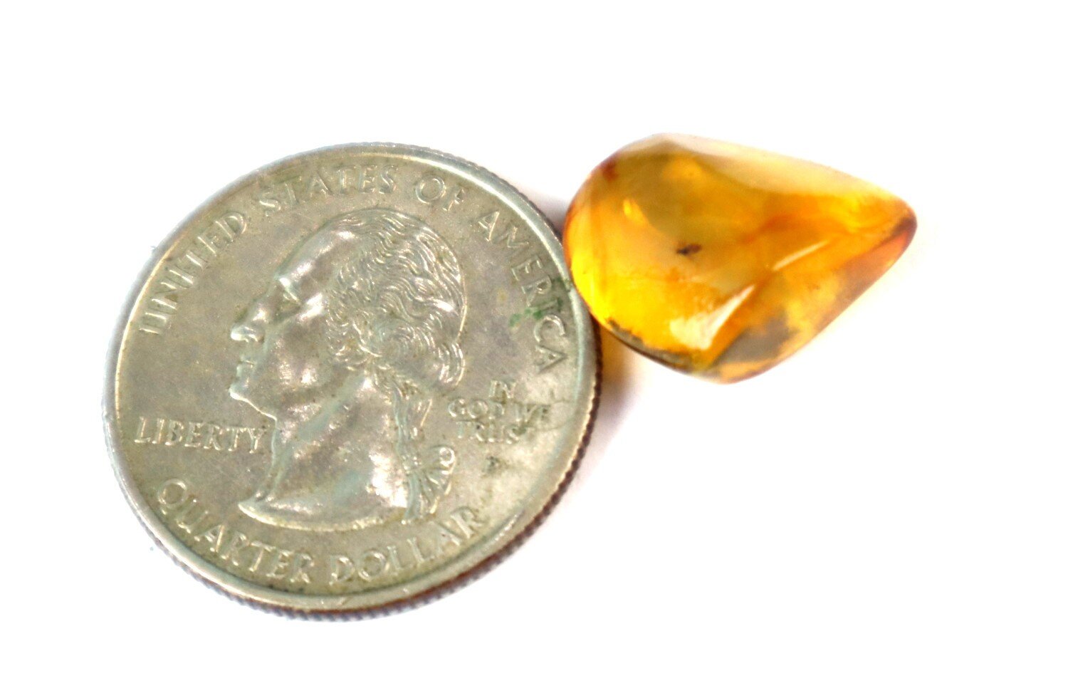 Natural Dominican Clear Amber – with Fly/Midge Inclusion (Diptera) | 15mm – photo 8