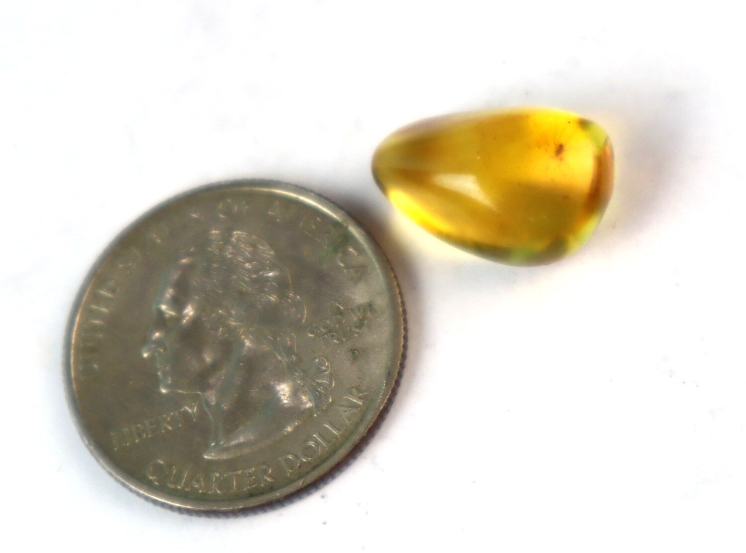 Natural Dominican Yellow Amber – Spider Inclusion – photo 5