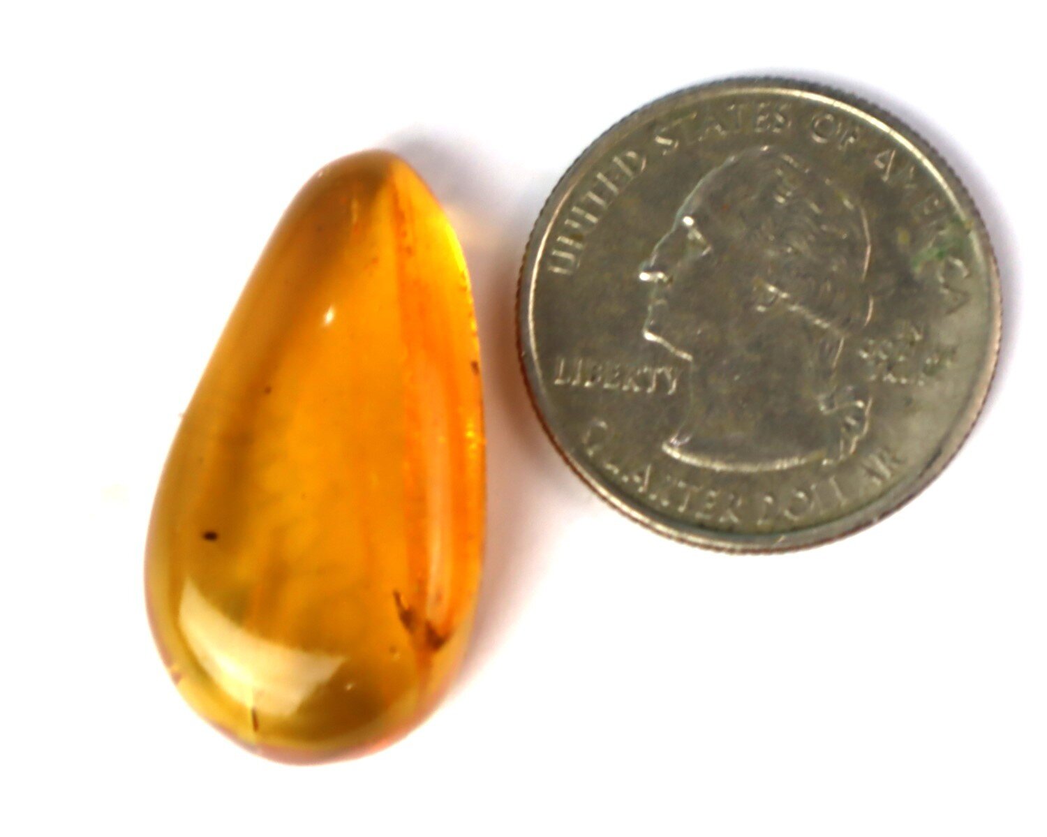 Natural Dominican Amber Polished Stone 30mm – Fly / Gnat Inclusion Fossil – photo 3