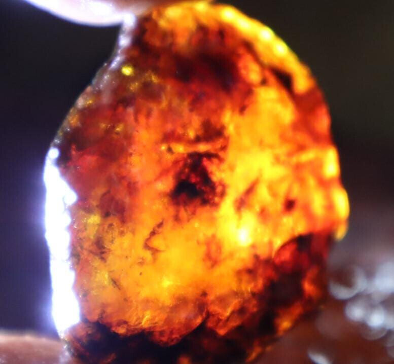 Charming Design Natural Dominican Clear Blue Red Amber Rough Specimen 44mm 14.6g – photo 4